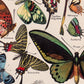 Vintage Butterfly Posters "PAPILLONS" Set of 3 Prints