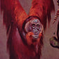 Vintage Apes lllustrations Set of 3 Prints