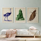 Colorful Wild Animals Set of 3 Poster