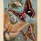 Vintage Insects Illustrations Set of 3 Prints