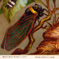 Vintage Insects Illustrations Set of 3 Prints