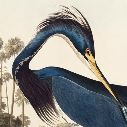 Juego de 2 impresiones de flamencos y garzas de Luisiana