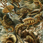 Ernst Haeckel Poster Set of 2