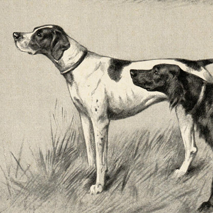 Conjunto de 3 impresiones con ilustraciones de perros antiguos