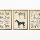 Vintage Horse Illustrations Set of 3 Prints