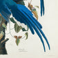 Blue Birds Set of 3 Prints