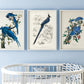 Blue Birds Set of 3 Prints