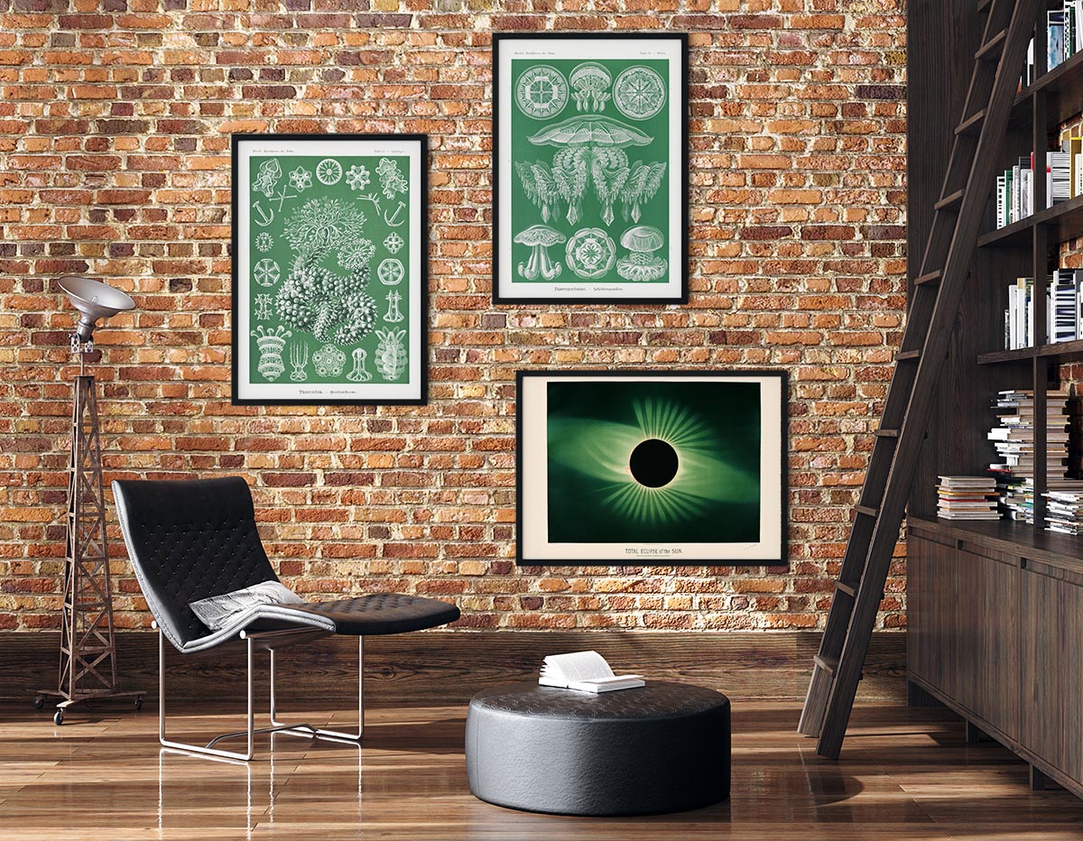 Green Vibes Set of 3 Prints