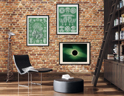 Conjunto de 3 láminas Green Vibes