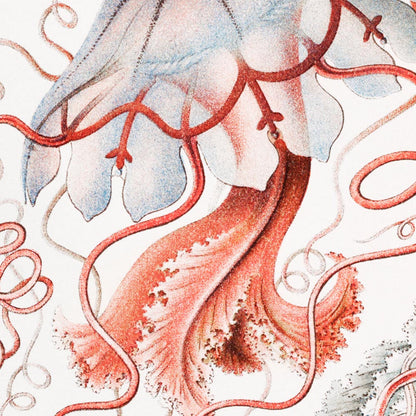 Tríptico vintage de ciencia y naturaleza en color naranja (juego de 3 impresiones)