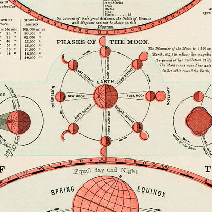 Tríptico vintage de ciencia y naturaleza en color naranja (juego de 3 impresiones)