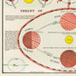 Vintage Orange Science and Nature Triptych (Set of 3 Prints)