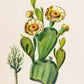 Cactus and Flowers Set of 3 Prints