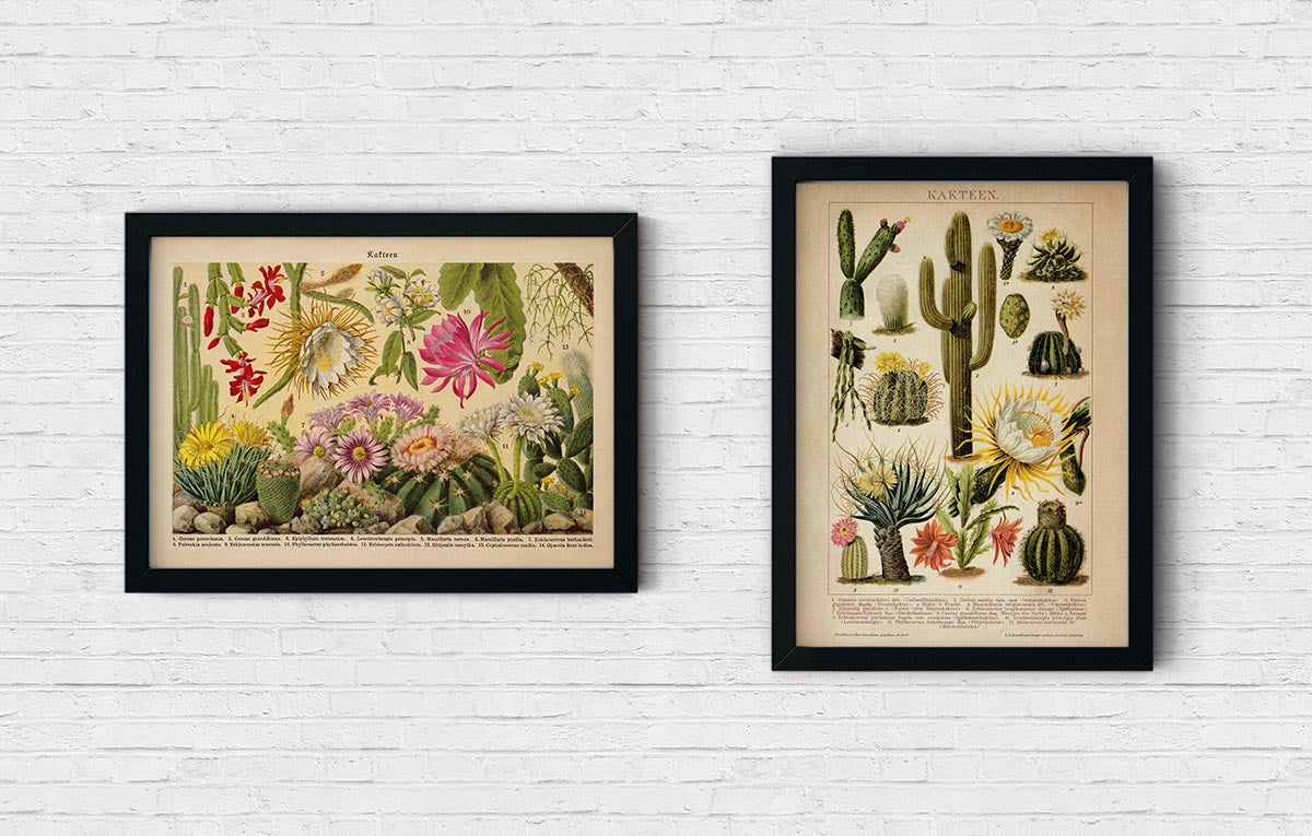 Cactus Poster Set of 2