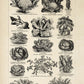 Veggie Charts Set of 3 Prints