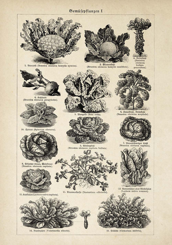 Veggie Charts Set of 3 Prints