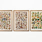 Fruits and Veggies Set of 3 Prints