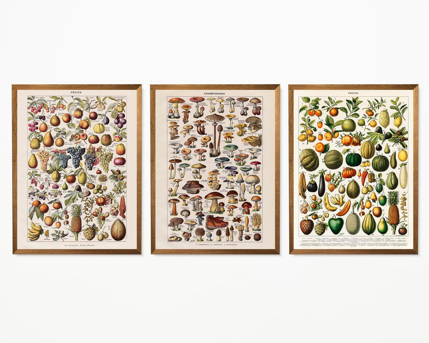 Fruits and Veggies Set of 3 Prints