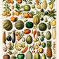 Fruits and Veggies Set of 3 Prints