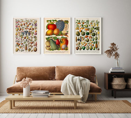 Conjunto de 3 ilustraciones decorativas con cuadros de frutas vintage