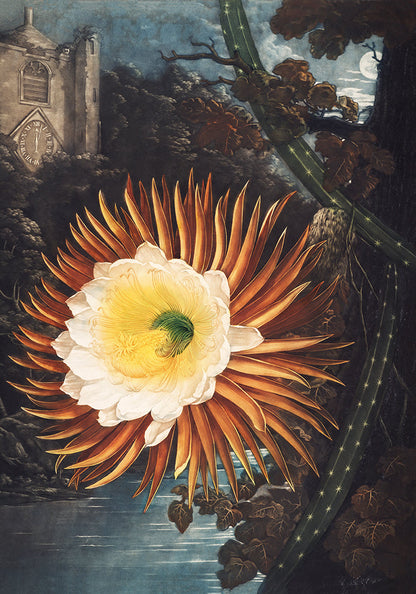 Conjunto de 3 impresiones del Templo de Flora