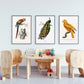 Vintage Bird Illustrations Set of 3 Prints