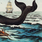 Moby Dick Scene Vintage Poster Triptych (set of three)