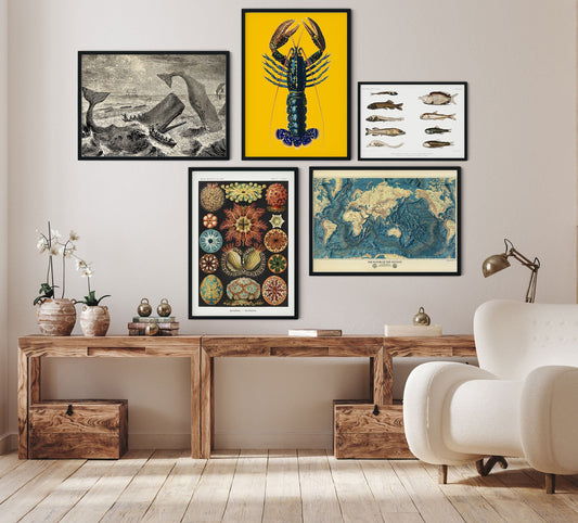 Conjunto de 5 carteles de la galería Ocean Gallery