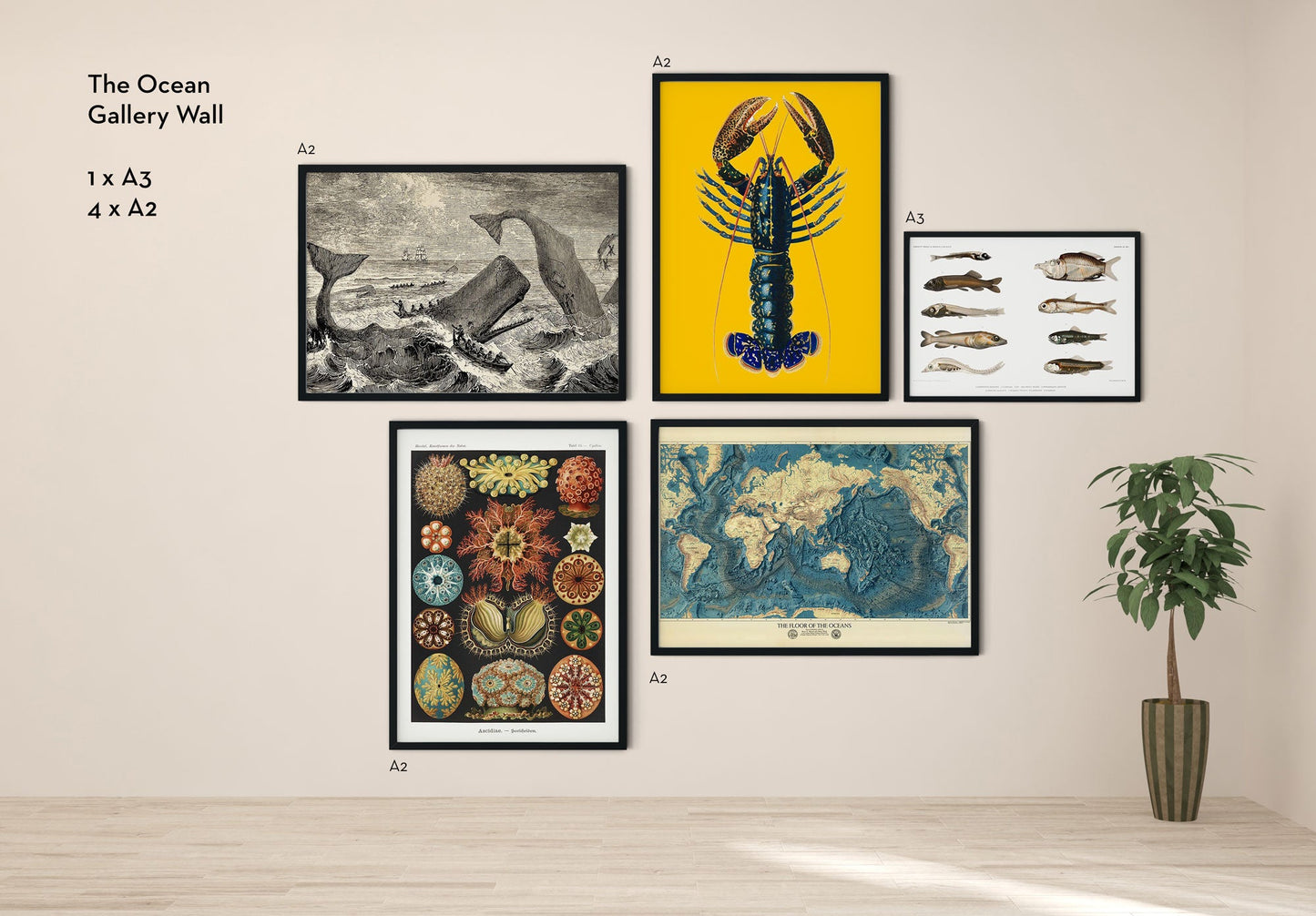 Conjunto de 5 carteles de la galería Ocean Gallery