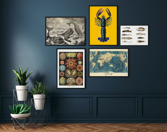 Conjunto de 5 carteles de la galería Ocean Gallery