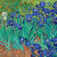 Irises 1889 by Vincent Van Gogh