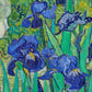 Irises 1889 by Vincent Van Gogh