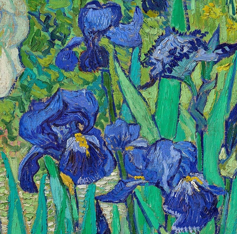 Irises 1889 by Vincent Van Gogh