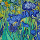 Irises 1889 by Vincent Van Gogh