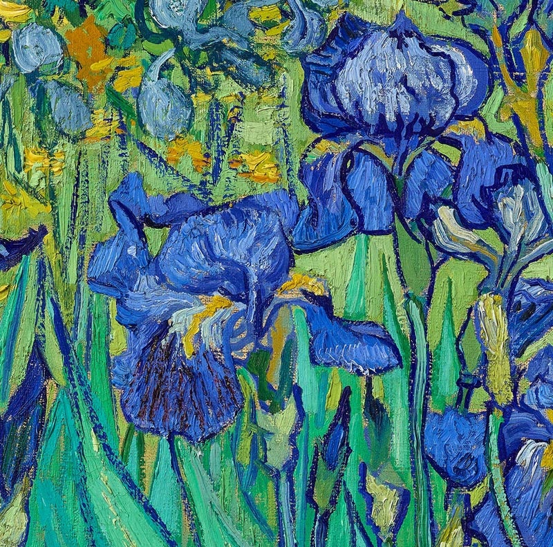 Irises 1889 by Vincent Van Gogh