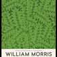 Branch by William Morris Print