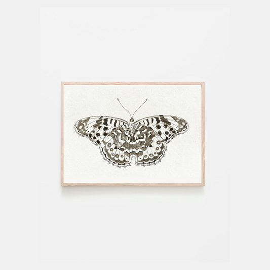 Mariposa geométrica en blanco y negro - Vlinder de Cornelis Ploos van Amstel