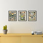 Adolphe Millot Butterfly Poster - Set of 3