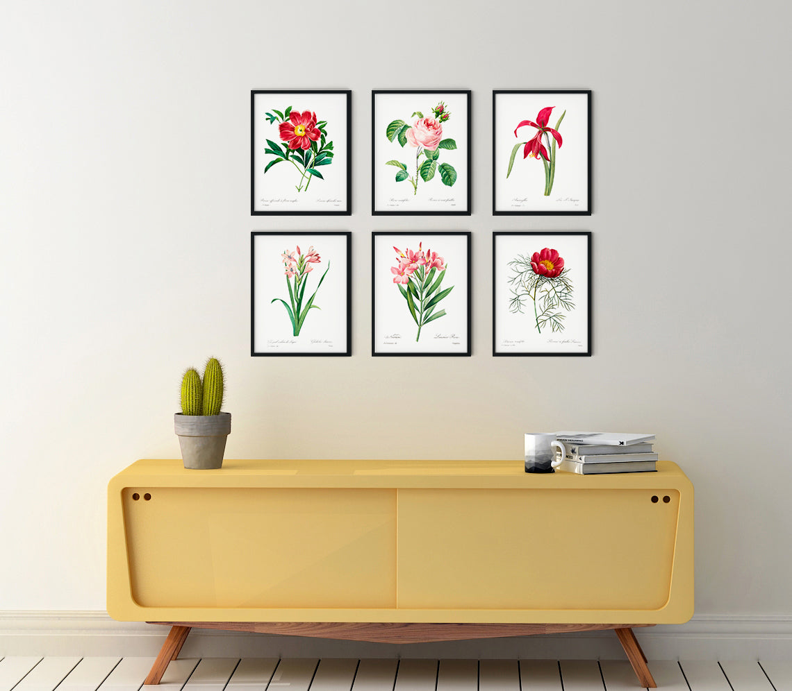 Vintage Flower Posters - Set of 6