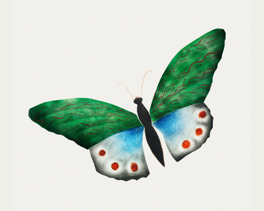 Ilustración de mariposa verde de Mary Altha Nims, rectángulo