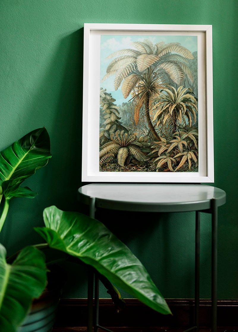 Ernst Haeckel Wall Art - Palm Tree by Ernst Haeckel Poster