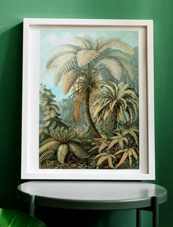 Palm Tree II (Filicinae–Laubfarne)  by Ernst Haeckel