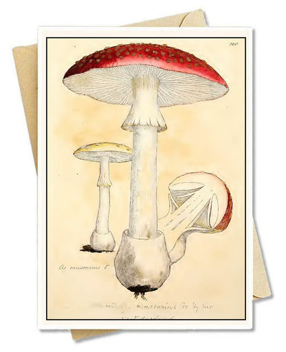 Tarjetas de notas con hongos antiguos (hongos botánicos 02) 