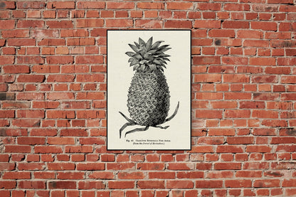 Póster Vibes de Tropicalia: conjunto con 3 hermosos pósters para tu decoración
