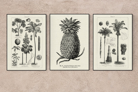 Tropicalia Vibes Poster - Set with 3 beautiful Poster for your decor