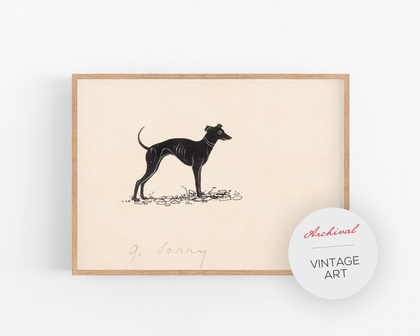 Vintage dog fine art print | Greyhound art | Canine illustration |  Modern vintage décor | Ready to frame & gift