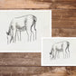 Vintage horse fine art print | Horse study sketch | Animal art |  Modern vintage décor | Leo Gestel | Ready to frame & gift