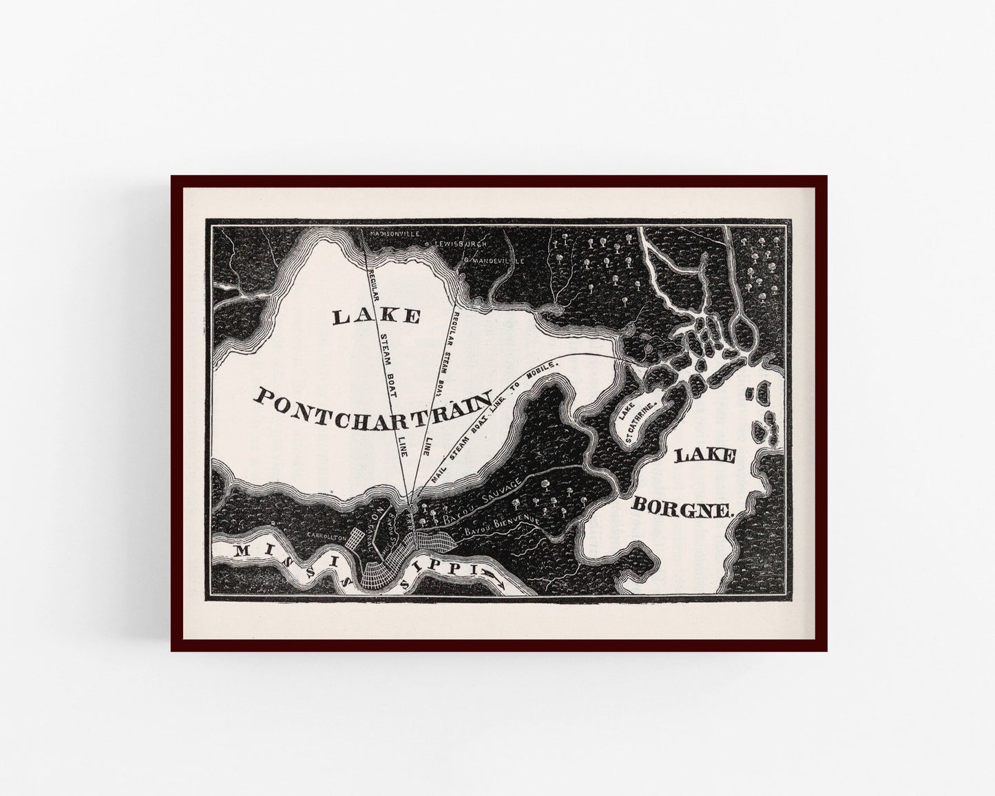 Vintage map of New Orleans area | Lake Pontchartrain & Borgne | Mississippi river | 19th century Giclée fine art | Eco-friendly