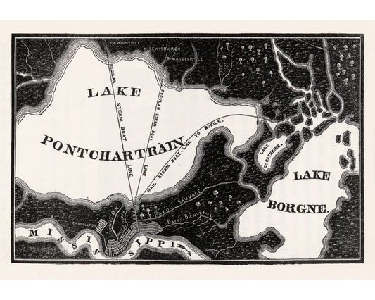 Mapa antiguo del área de Nueva Orleans | Lago Pontchartrain y Borgne | Río Mississippi | Bellas artes Giclée del siglo XIX | Ecológico