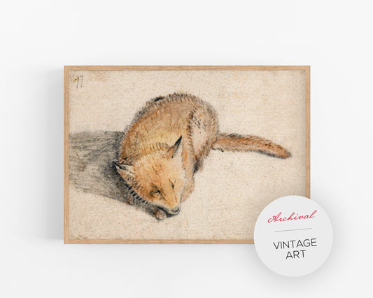 Impresión artística vintage de zorro | Zorro durmiendo | Arte animal | Ilustración del siglo XVII | Decoración vintage moderna | Listo para enmarcar y regalar